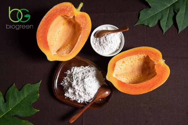 Sản xuất và chiết xuất Enzyme Papain như thế nào?
